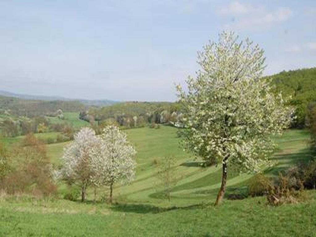Land Und Leute Apartment Fritzlar Bagian luar foto